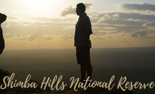 Shimba Hills National Reserve