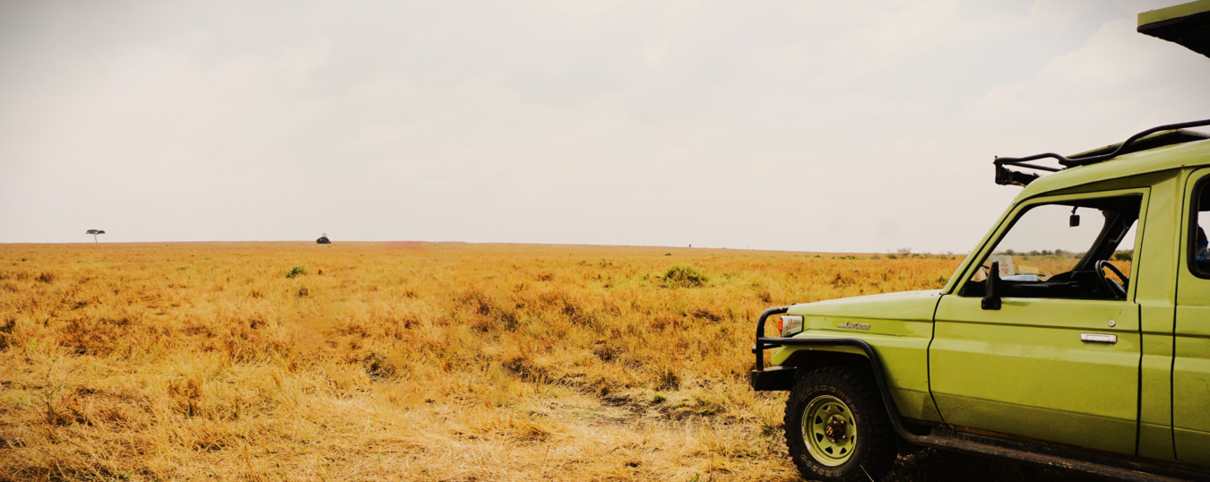 Safari Masai Mara